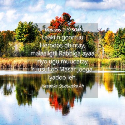 Picture 04 - Matayos 2:19 SOM - Laakiin goortuu Herodos dhintay, malaa'igtii - Bible Verse Picture
