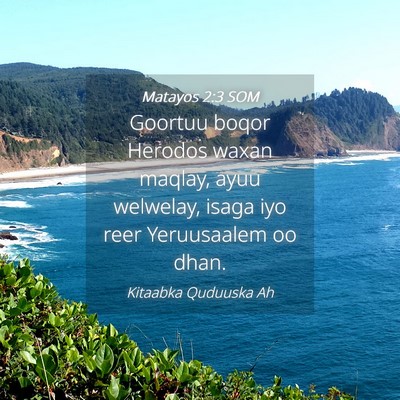 Picture 04 - Matayos 2:3 SOM - Goortuu boqor Herodos waxan maqlay, ayuu - Bible Verse Picture