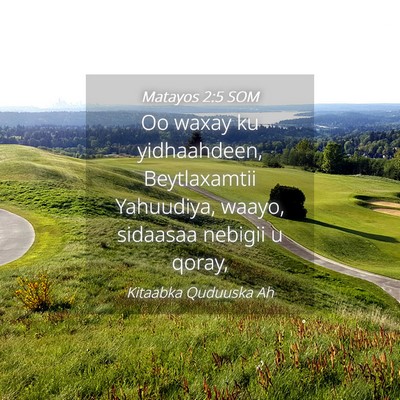 Picture 04 - Matayos 2:5 SOM - Oo waxay ku yidhaahdeen, Beytlaxamtii Yahuudiya, - Bible Verse Picture