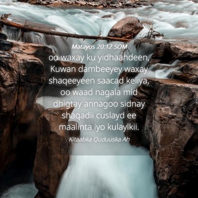 Picture 04 - Matayos 20:12 SOM - oo waxay ku yidhaahdeen, Kuwan dambeeyey waxay - Bible Verse Picture