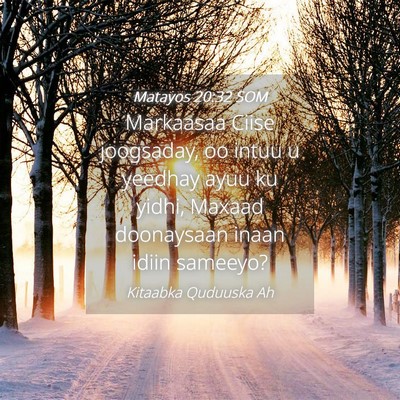 Picture 04 - Matayos 20:32 SOM - Markaasaa Ciise joogsaday, oo intuu u yeedhay - Bible Verse Picture