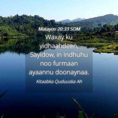 Picture 04 - Matayos 20:33 SOM - Waxay ku yidhaahdeen, Sayidow, in indhuhu noo - Bible Verse Picture