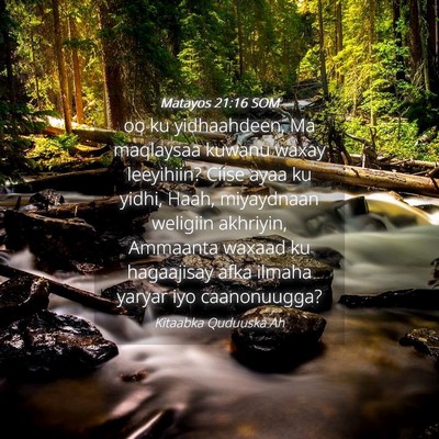 Picture 04 - Matayos 21:16 SOM - oo ku yidhaahdeen, Ma maqlaysaa kuwanu waxay - Bible Verse Picture