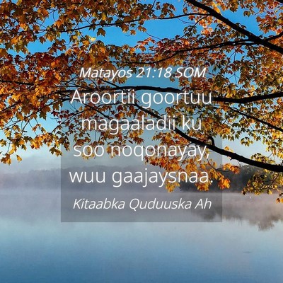 Picture 04 - Matayos 21:18 SOM - Aroortii goortuu magaaladii ku soo noqonayay, wuu - Bible Verse Picture