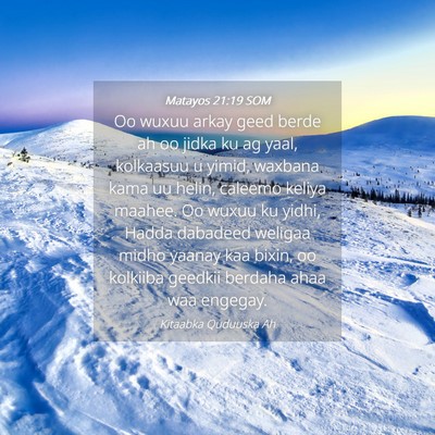 Picture 04 - Matayos 21:19 SOM - Oo wuxuu arkay geed berde ah oo jidka ku ag yaal, - Bible Verse Picture