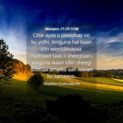 Picture 04 - Matayos 21:24 SOM - Ciise ayaa u jawaabay oo ku yidhi, Aniguna hal - Bible Verse Picture