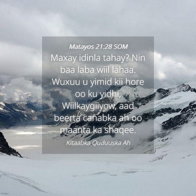 Picture 04 - Matayos 21:28 SOM - Maxay idinla tahay? Nin baa laba wiil lahaa. - Bible Verse Picture