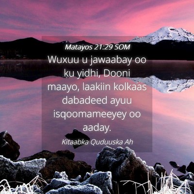 Picture 04 - Matayos 21:29 SOM - Wuxuu u jawaabay oo ku yidhi, Dooni maayo, - Bible Verse Picture