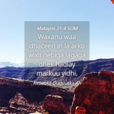 Picture 04 - Matayos 21:4 SOM - Waxanu waa dhaceen in la arko wixii nebiga lagaga - Bible Verse Picture