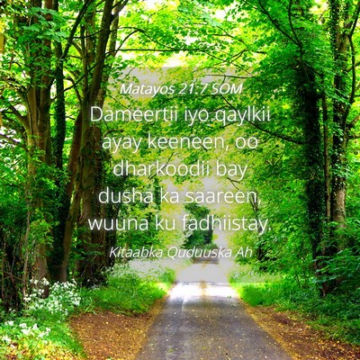 Picture 04 - Matayos 21:7 SOM - Dameertii iyo qaylkii ayay keeneen, oo dharkoodii - Bible Verse Picture