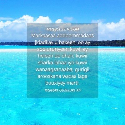 Picture 04 - Matayos 22:10 SOM - Markaasaa addoommadaas jidadkay u baxeen, oo ay - Bible Verse Picture