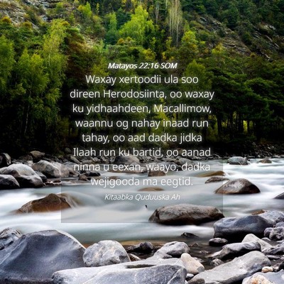 Picture 04 - Matayos 22:16 SOM - Waxay xertoodii ula soo direen Herodosiinta, oo - Bible Verse Picture