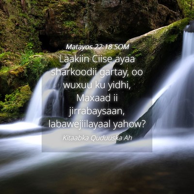 Picture 04 - Matayos 22:18 SOM - Laakiin Ciise ayaa sharkoodii gartay, oo wuxuu ku - Bible Verse Picture