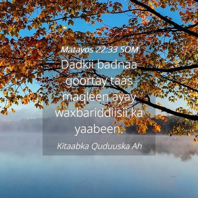 Picture 04 - Matayos 22:33 SOM - Dadkii badnaa goortay taas maqleen ayay - Bible Verse Picture