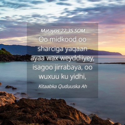 Picture 04 - Matayos 22:35 SOM - Oo midkood oo sharciga yaqaan ayaa wax - Bible Verse Picture