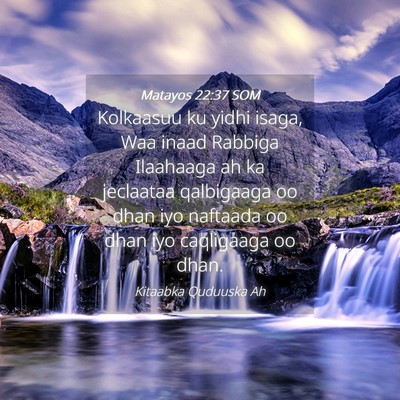 Picture 04 - Matayos 22:37 SOM - Kolkaasuu ku yidhi isaga, Waa inaad Rabbiga - Bible Verse Picture
