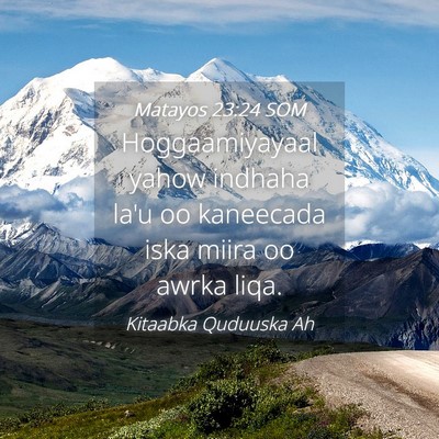 Picture 04 - Matayos 23:24 SOM - Hoggaamiyayaal yahow indhaha la'u oo kaneecada - Bible Verse Picture