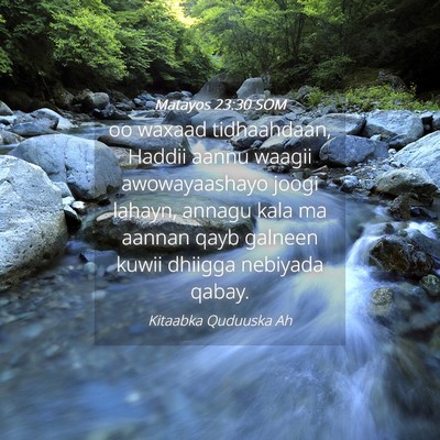 Picture 04 - Matayos 23:30 SOM - oo waxaad tidhaahdaan, Haddii aannu waagii - Bible Verse Picture