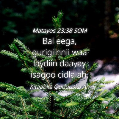 Picture 04 - Matayos 23:38 SOM - Bal eega, gurigiinnii waa laydiin daayay isagoo - Bible Verse Picture