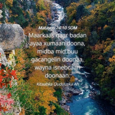 Picture 04 - Matayos 24:10 SOM - Maarkaas qaar badan ayaa xumaan doona, midba mid - Bible Verse Picture