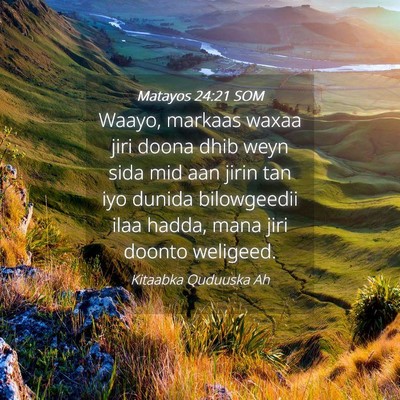 Picture 04 - Matayos 24:21 SOM - Waayo, markaas waxaa jiri doona dhib weyn sida - Bible Verse Picture