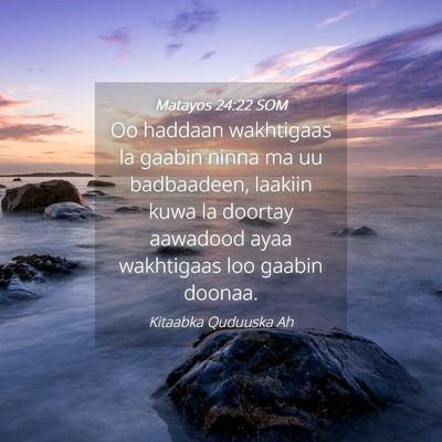 Picture 04 - Matayos 24:22 SOM - Oo haddaan wakhtigaas la gaabin ninna ma uu - Bible Verse Picture