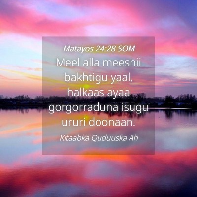 Picture 04 - Matayos 24:28 SOM - Meel alla meeshii bakhtigu yaal, halkaas ayaa - Bible Verse Picture