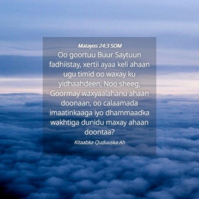 Picture 04 - Matayos 24:3 SOM - Oo goortuu Buur Saytuun fadhiistay, xertii ayaa - Bible Verse Picture