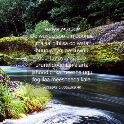 Picture 04 - Matayos 24:31 SOM - Oo wuxuu soo diri doonaa malaa'igihiisa oo wata - Bible Verse Picture
