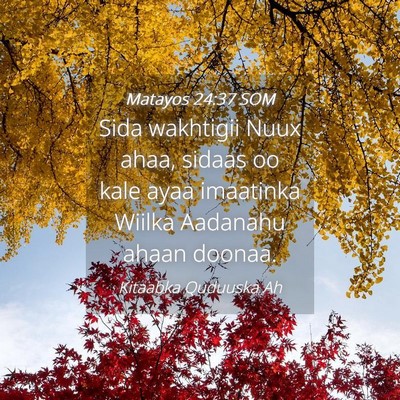 Picture 04 - Matayos 24:37 SOM - Sida wakhtigii Nuux ahaa, sidaas oo kale ayaa - Bible Verse Picture