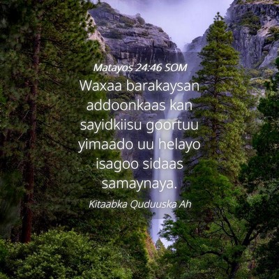 Picture 04 - Matayos 24:46 SOM - Waxaa barakaysan addoonkaas kan sayidkiisu - Bible Verse Picture