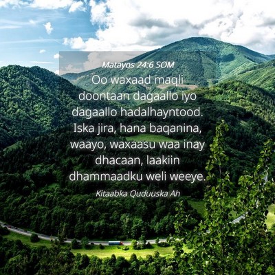 Picture 04 - Matayos 24:6 SOM - Oo waxaad maqli doontaan dagaallo iyo dagaallo - Bible Verse Picture