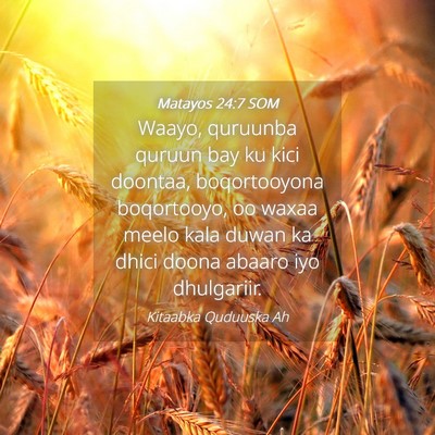 Picture 04 - Matayos 24:7 SOM - Waayo, quruunba quruun bay ku kici doontaa, - Bible Verse Picture