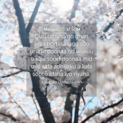 Picture 04 - Matayos 25:32 SOM - Quruumaha oo dhan ayaa hortiisa lagu soo ururin - Bible Verse Picture