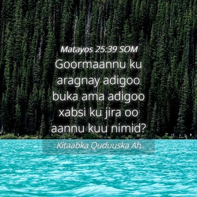 Picture 04 - Matayos 25:39 SOM - Goormaannu ku aragnay adigoo buka ama adigoo - Bible Verse Picture