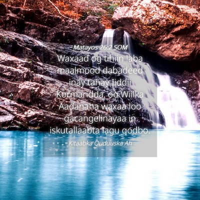 Picture 04 - Matayos 26:2 SOM - Waxaad og tihiin laba maalmood dabadeed inay - Bible Verse Picture
