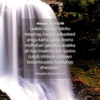 Picture 04 - Matayos 26:29 SOM - Laakiin waxaan idinku leeyahay, Hadda dabadeed - Bible Verse Picture