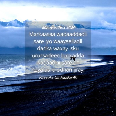 Picture 04 - Matayos 26:3 SOM - Markaasaa wadaaddadii sare iyo waayeelladii dadka - Bible Verse Picture
