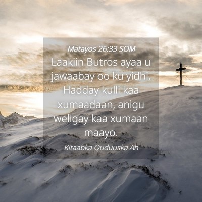 Picture 04 - Matayos 26:33 SOM - Laakiin Butros ayaa u jawaabay oo ku yidhi, - Bible Verse Picture