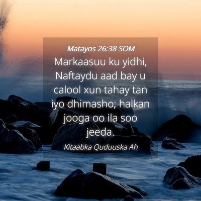 Picture 04 - Matayos 26:38 SOM - Markaasuu ku yidhi, Naftaydu aad bay u calool xun - Bible Verse Picture