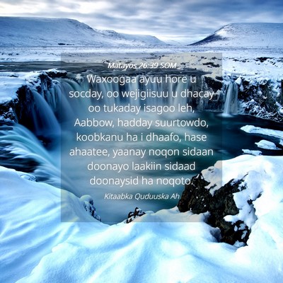 Picture 04 - Matayos 26:39 SOM - Waxoogaa ayuu hore u socday, oo wejigiisuu u - Bible Verse Picture
