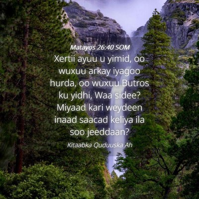 Picture 04 - Matayos 26:40 SOM - Xertii ayuu u yimid, oo wuxuu arkay iyagoo hurda, - Bible Verse Picture