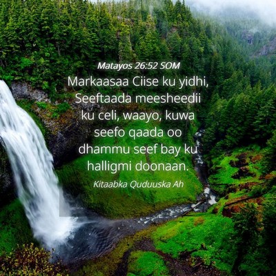 Picture 04 - Matayos 26:52 SOM - Markaasaa Ciise ku yidhi, Seeftaada meesheedii ku - Bible Verse Picture