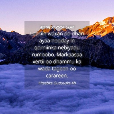 Picture 04 - Matayos 26:56 SOM - Laakiin waxan oo dhan ayaa noqday in qorniinka - Bible Verse Picture