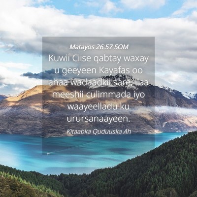 Picture 04 - Matayos 26:57 SOM - Kuwii Ciise qabtay waxay u geeyeen Kayafas oo - Bible Verse Picture