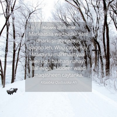 Picture 04 - Matayos 26:65 SOM - Markaasaa wadaadkii sare dharkiisii jeexjeexay - Bible Verse Picture