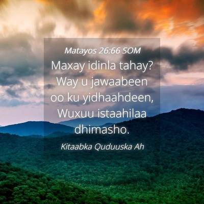 Picture 04 - Matayos 26:66 SOM - Maxay idinla tahay? Way u jawaabeen oo ku - Bible Verse Picture