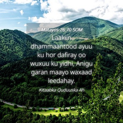 Picture 04 - Matayos 26:70 SOM - Laakiin dhammaantood ayuu ku hor dafiray oo wuxuu - Bible Verse Picture