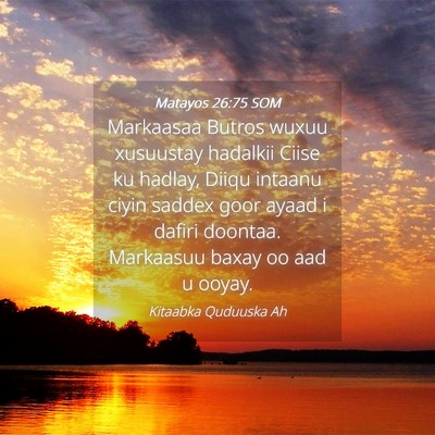 Picture 04 - Matayos 26:75 SOM - Markaasaa Butros wuxuu xusuustay hadalkii Ciise - Bible Verse Picture