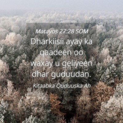 Picture 04 - Matayos 27:28 SOM - Dharkiisii ayay ka qaadeen oo waxay u geliyeen - Bible Verse Picture